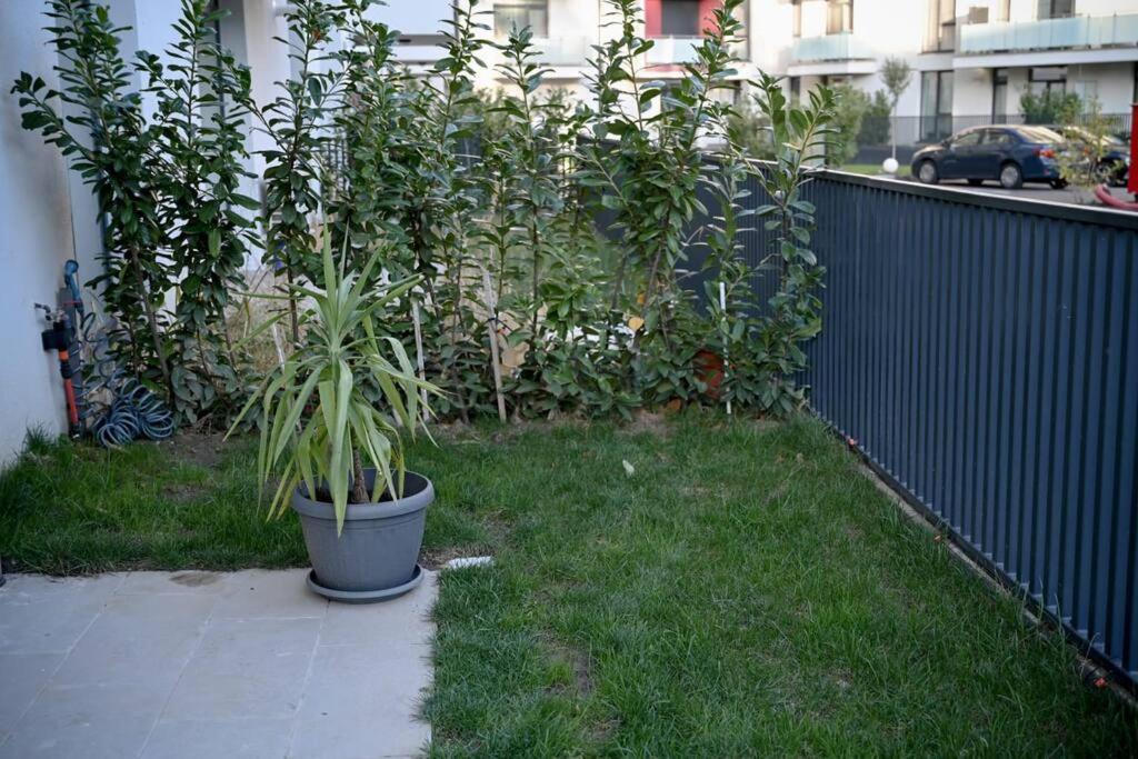 Apartamento #Minehouse Timisoara Exterior foto