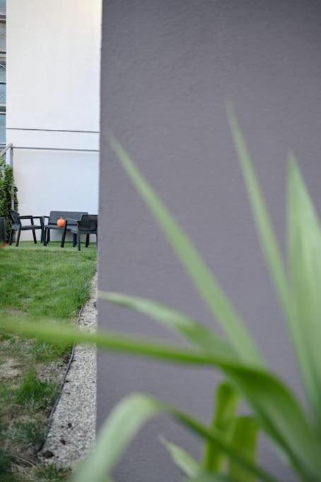 Apartamento #Minehouse Timisoara Exterior foto
